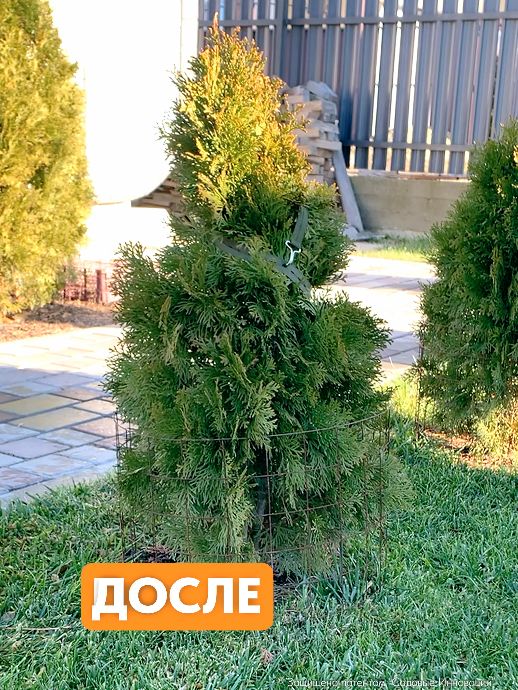 Садовая стяжка 1,5 м для подвязки растений и молодых деревьев (3 шт.)