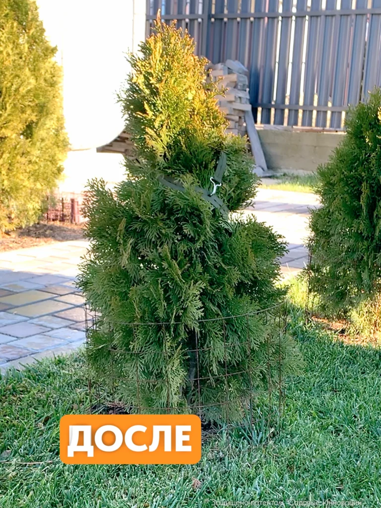 Садовая стяжка 0,6 м для подвязки растений и кустов (5 шт.)