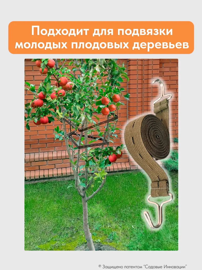 Садовая стяжка 5 м для подвязки деревьев и хвойных растений (3 шт.)