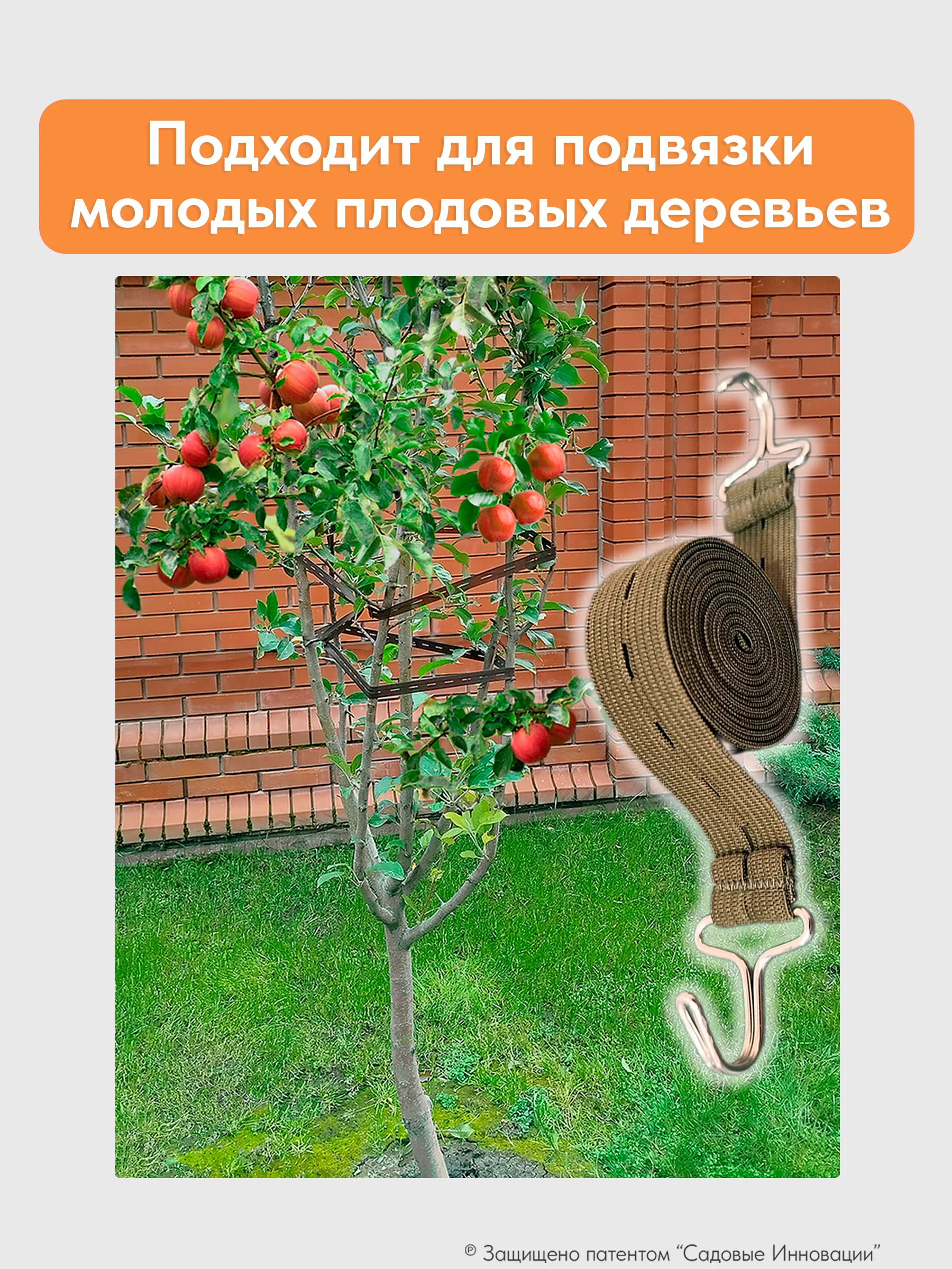 Садовая стяжка 5 м для подвязки деревьев и хвойных растений (3 шт.)