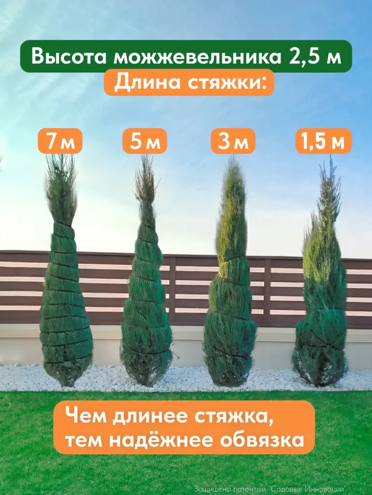 Садовая стяжка 1,5 м для подвязки растений и молодых деревьев (3 шт.)