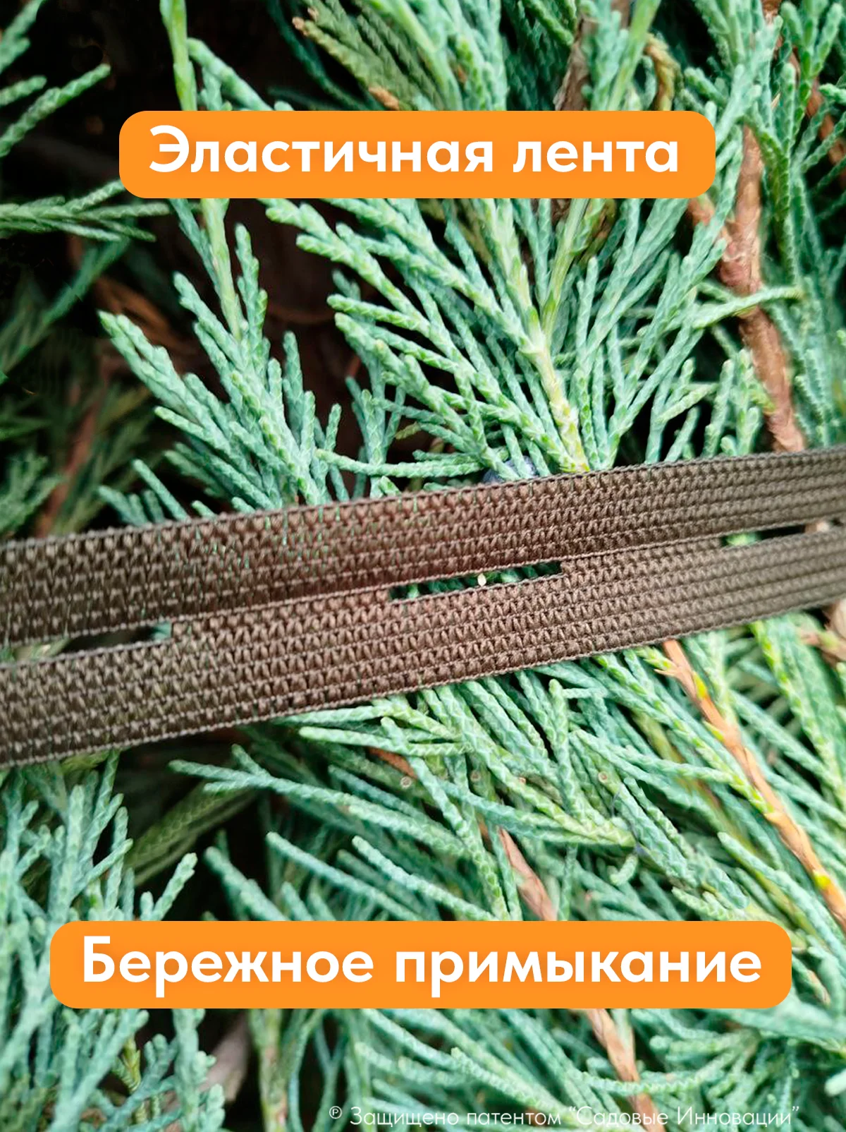 Садовая стяжка 5 м для подвязки деревьев и хвойных растений (3 шт.)