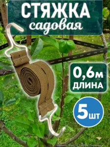 Для молодых деревьев важна мягкая фиксация у опоры