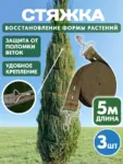 5м