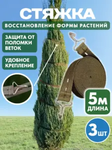 Если задача — зимняя защита кроны, длинная стяжка работает практичнее шпагата