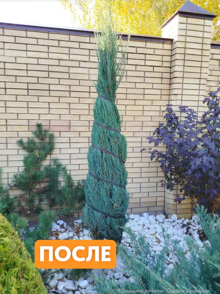 Садовая стяжка 3 м для подвязки деревьев и растений (3 шт.)