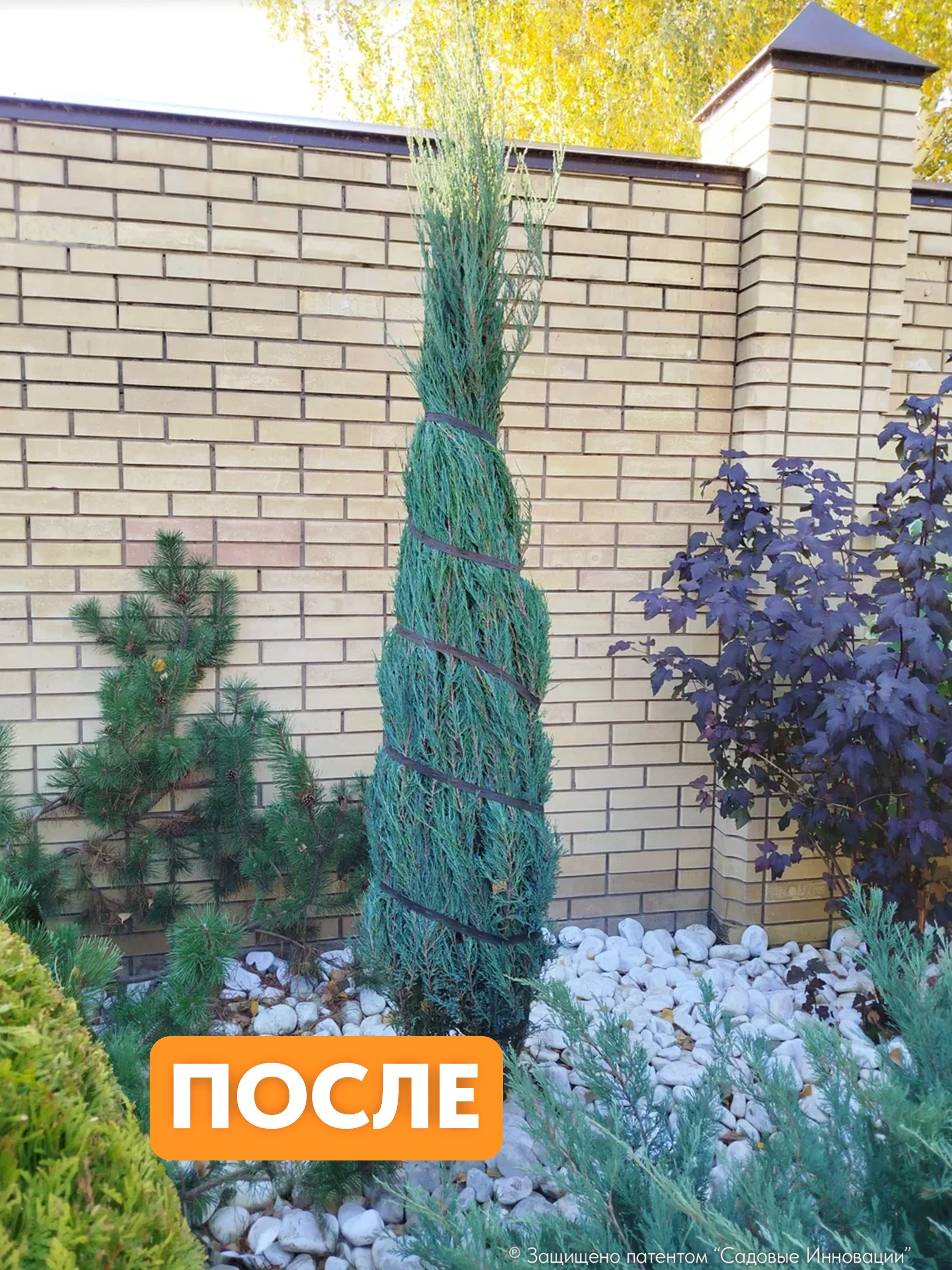 Садовая стяжка 3 м для подвязки деревьев и растений (3 шт.)